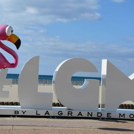 Superbe Studio Au Calme A 8Mn De La Plage La Grande Motte Exterior foto